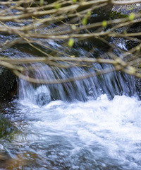 ȫ����С���ˡ����ϣ�̨�����5A�����������