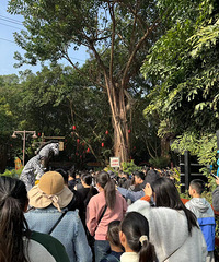 [������]���۵Ĺ��ݳ�¡��