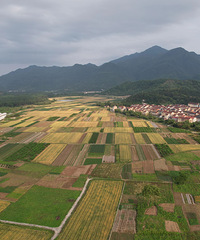 ��1800Ķ��̨�ݽ�����һ�������֡�