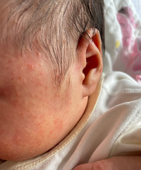 [ר������]��������������ô����ʪ������