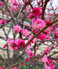 ΪʲôŮ����ôϲ�����ζ����˲�̫ϲ����