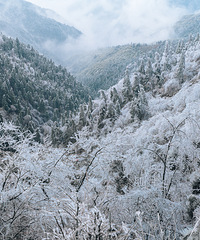 �ٺ�����ط��������ɾ�ѽ��