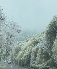 ���������������ʧ17Сʱ�� �����Ͼ�Ԯ���������ؼ�·��