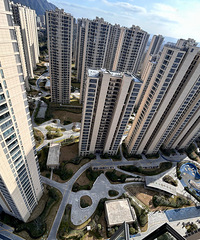 ��н�����ѡ�������ͷ��ɻ���ѡ������