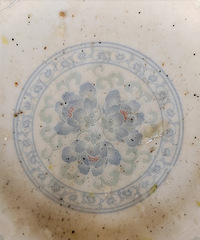 �ҳ���ȥ���ǲ˻��ǻң�