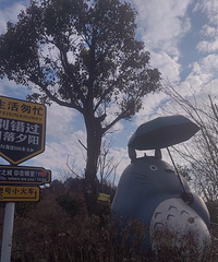 ������ɽͽ���ܲ���������