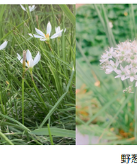 ��ʼ�ˣ�̨��Ҳ�г��֣��������ж������ؿ�����