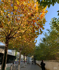 ��˵�˵����߾ŵ��ϰ�Ķ�����һ���˵�