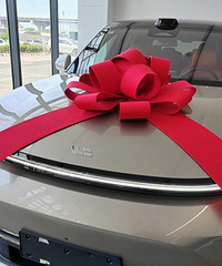 39.9��������L8