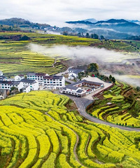 ̨��������ѧ����У԰���ã�