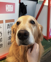 �����˼�������ǣ������������ѡרҵ ��������ѧʲôרҵ��