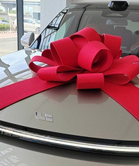 39.9��������L8�������������