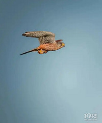 �ƶ�Я��ת���������˰�����û����������Щ�ײ�