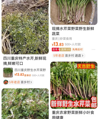 [��ʳ]�������ѣ�ǧ���������ԣ�