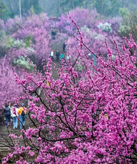 �������磡һ������ϲ�ں���