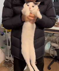 �칫�ҵ���ֲ���ж�ը�ѣ���һ��Ҫǿ���й��ˣ���������������