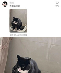 �칫�ҵ���ֲ���ж�ը�ѣ���һ��Ҫǿ���й��ˣ���������������