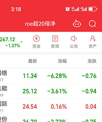 ������roe����20�ĸ��ɽ����������