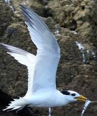 ���ˣ�300Ԫһ�죬��ʳ�ޣ������㽭������Ҫȥ