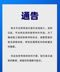 ��������ˮƽ̨��ͣ����