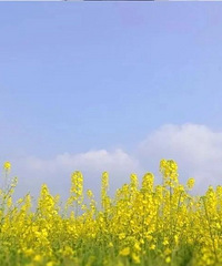 �����ѵ�����������һ�ֽ�ˮҲ�Ѱ���