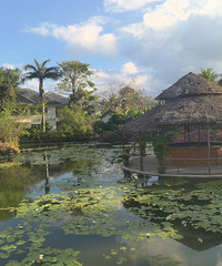 ε���ĺ�ˮϸ����ɳ̲��ӿ�ĺ��ˡ�2024Խ��ѿׯ��