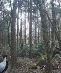 �ĵ��ˣ���ɽ�����ӡ�����̨�ݣ�