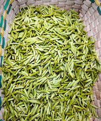 2000Ԫ/��ѳ������ǣ�̨���ϰ壺����������