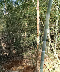 �������죬����ȥ