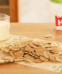 �����ڼ�����è����С��ʳ������������