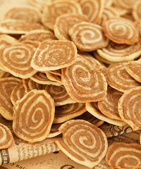 �����ڼ�����è����С��ʳ������������