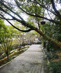 ������ɽ�̵���ľ���£���Ӧ���մ��ã�