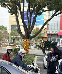 �����ĸ�������̨����Ϸ��