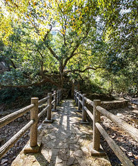 [����]�ڵ������йȸ�����������