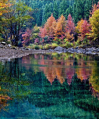 Ѱ����Ұ���٣��ڵ������йȸ�����������