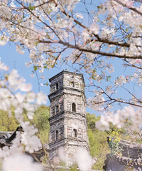 �� �������ٺ�����10�ַ�ʽ