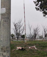 ˭��Ů��������ͷ�Ÿ���