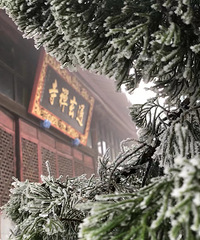 3��2�ձ����еľ��������أ�3��15���һ��Ϳ��ˣ�ʲô����