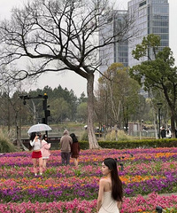 ��ĩ���ͺϹ�԰�ö�С������Ǳ�����