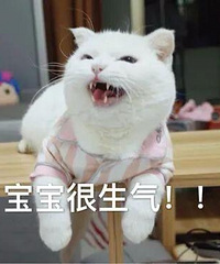 ̨���˿�̨����