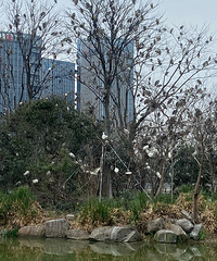 ���б�������𾪵��𣿣��ͺϹ�԰�����Ͻ����ˣ�