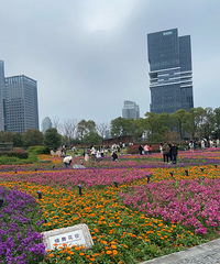 �ϴ��ںͺϹ�԰������ô���˻��ǹ���