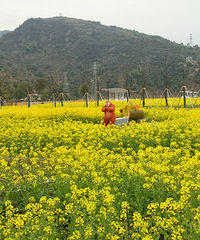 Ͳ˻ ̽¡߽ıĻ̬ũҵ԰