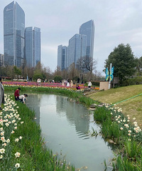 ���ˣ���į̃���������˺ö��ˣ��ϴ�����ô�໹��......