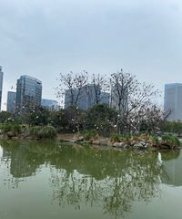 ���ˣ���į̃���������˺ö��ˣ��ϴ�����ô�໹��......