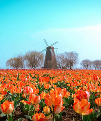 �ˣ���������㣬������ʪ�صĻ�������