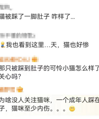 ���ѵ�һ�����ӱ�����è������Ͷι�߱�����24�򡭡����ѳ���