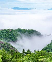 ����ȥ���ţ����ɾ����Լ��ġ�Ľ���ƺ�����