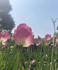 ����11ʱ06�֣�̨����ʽ����...