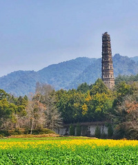 ���29�棡������������